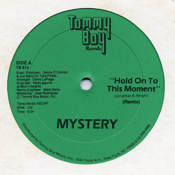 Mystery (2) : Hold On To This Moment (12")
