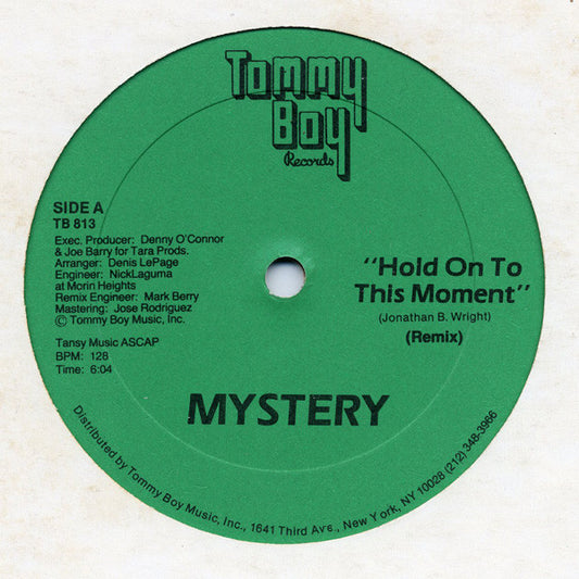 Mystery (2) : Hold On To This Moment (12")