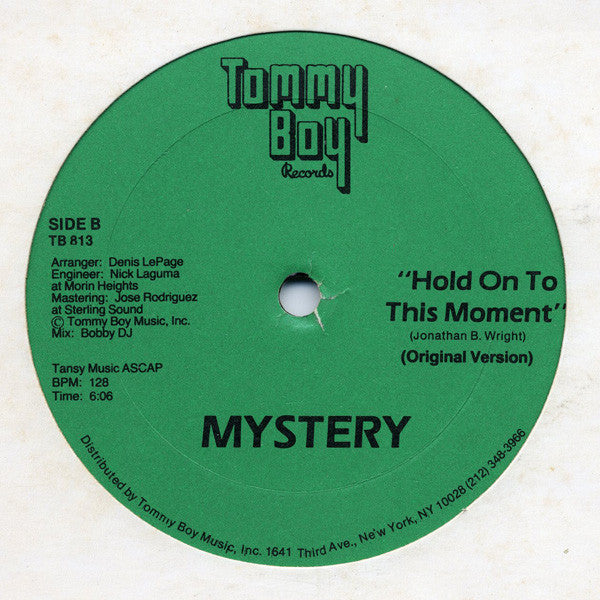 Mystery (2) : Hold On To This Moment (12")