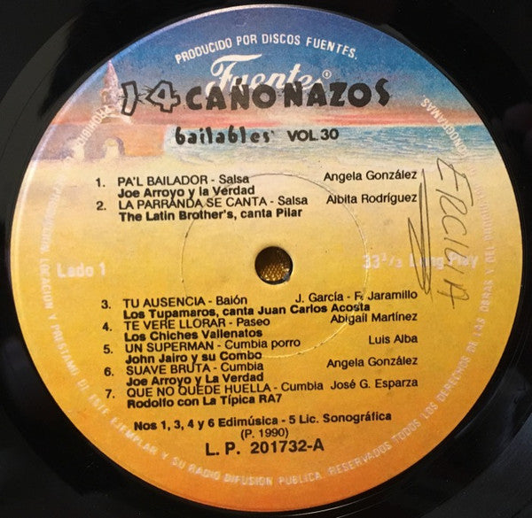 Various : 14 Cañonazos Bailables Vol. 30 (LP, Album)