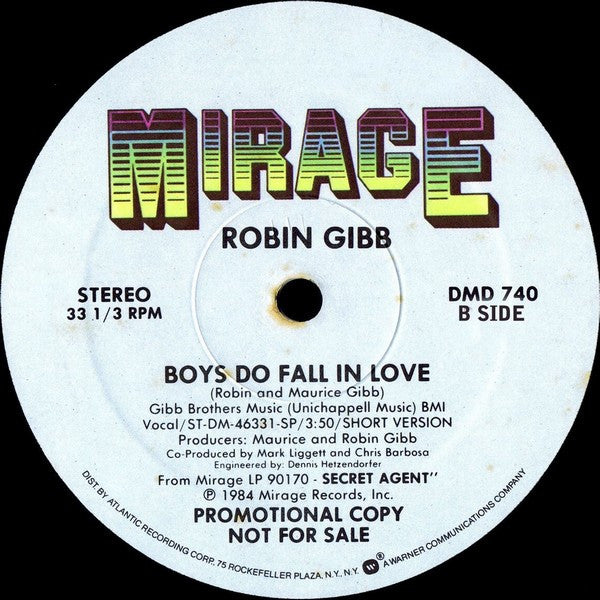 Robin Gibb : Boys Do Fall In Love (12", Maxi, Promo)