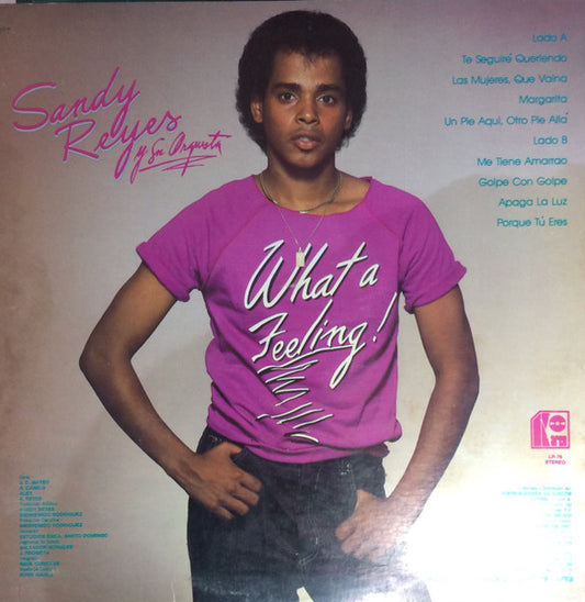 Sandy Reyes Y Su Orquesta - Sandy Reyes Y Su Orquesta vinyl record, LP (Near Mint (NM or M-)) | Lulo Records