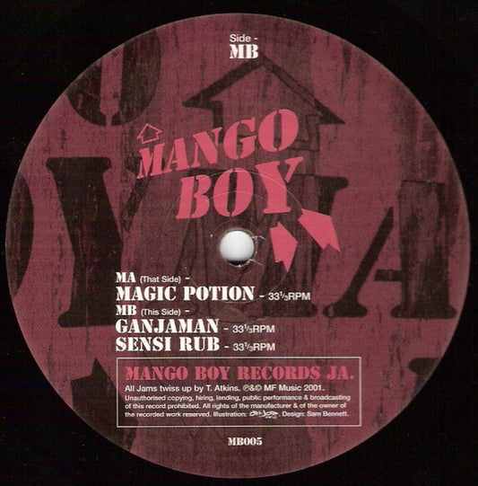 Mango Boy : Magic Potion (12")