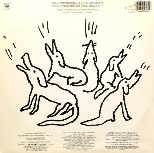 Double Entente - Sleeping Dogs Lie vinyl record, 12" (Very Good Plus (VG+)) | Lulo Records