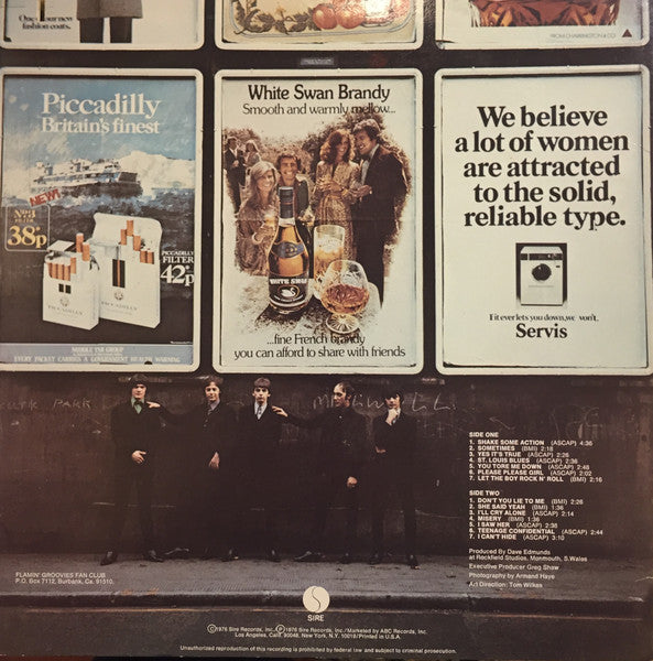 Flamin' Groovies* : Shake Some Action (LP, Album, Ter)