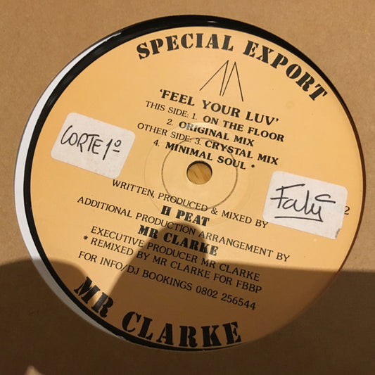Special Export : Feel Your Luv (12", Maxi)
