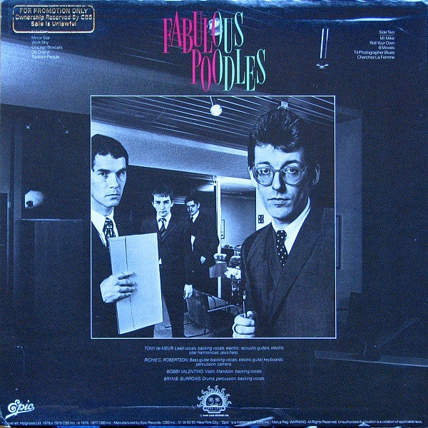 Fabulous Poodles : Mirror Stars (LP, Comp)