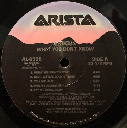 Exposé : What You Don't Know (LP, Album)