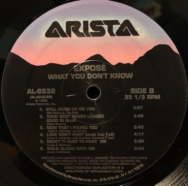 Exposé : What You Don't Know (LP, Album)