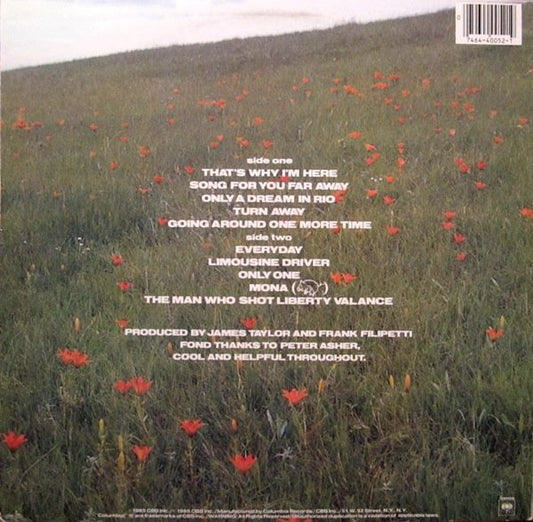 James Taylor - That's Why I'm Here vinyl record, LP (Mint (M)) | Lulo Records