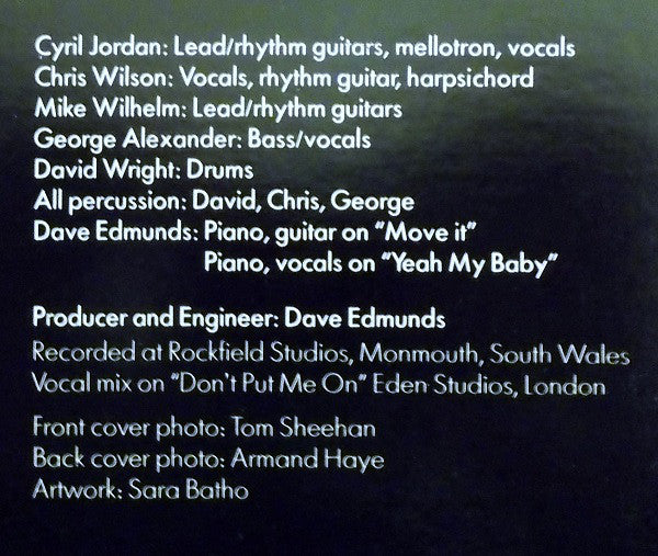 Flamin' Groovies* : Now (LP, Album, Win)