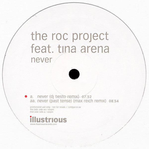 The Roc Project Feat. Tina Arena : Never (12", Promo)