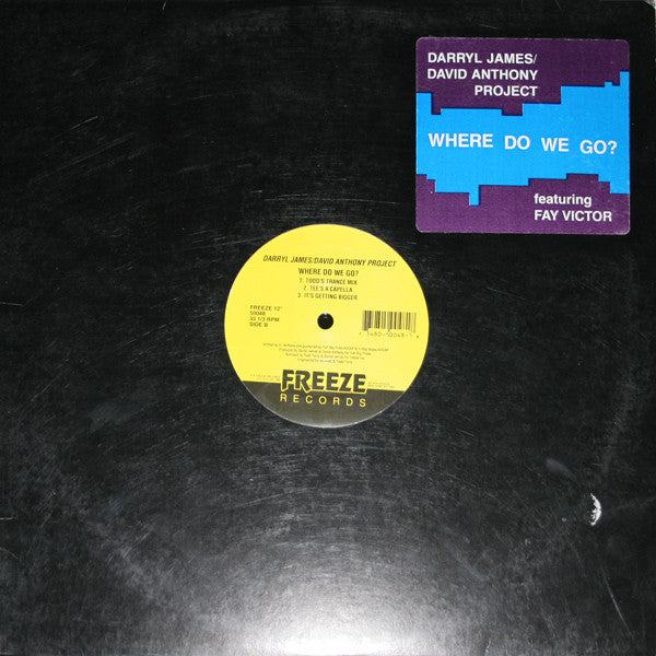 Darryl James & David Anthony Featuring Fay Victor : Where Do We Go? (12")