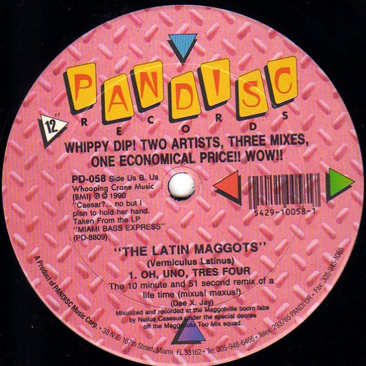 DXJ & The Miami Bass Mob / The Latin Maggots - Do You Want To Rock / Uh Uno Tres Four vinyl record, 12" (Very Good Plus (VG+)) | Lulo Records