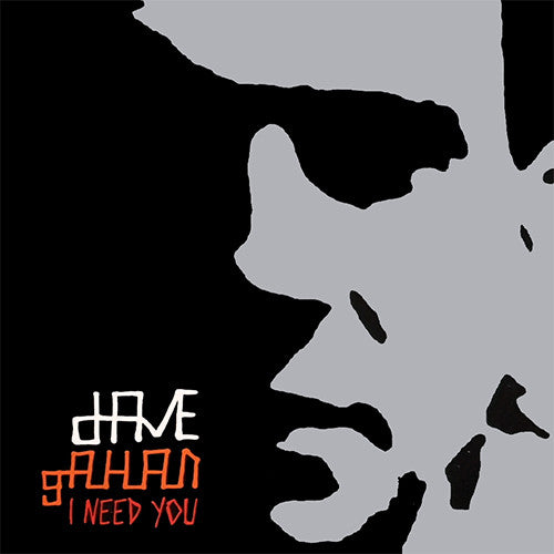 Dave Gahan : I Need You (2x12")