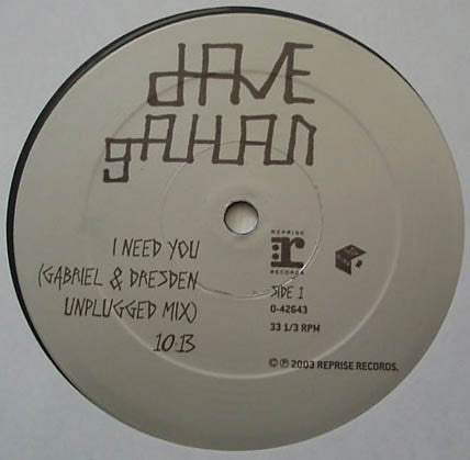 Dave Gahan : I Need You (2x12")