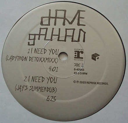 Dave Gahan : I Need You (2x12")