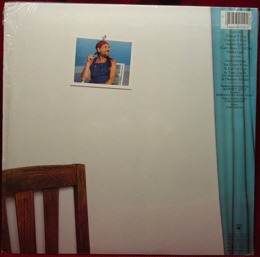 Willie Nelson - Without A Song vinyl record, LP (Near Mint (NM or M-)) | Lulo Records