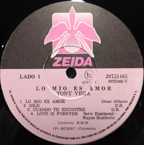 Tony Vega : Lo Mío Es Amor  (LP, Album)