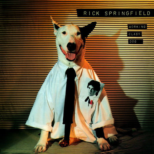 Rick Springfield - Working Class Dog vinyl record, LP (Very Good Plus (VG+)) | Lulo Records