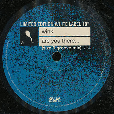 Josh Wink : Are You There... (10")
