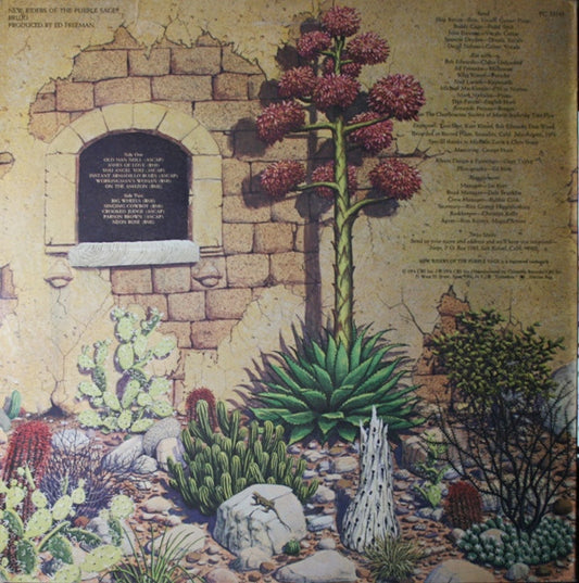 New Riders Of The Purple Sage - Brujo vinyl record, LP (Mint (M)) | Lulo Records
