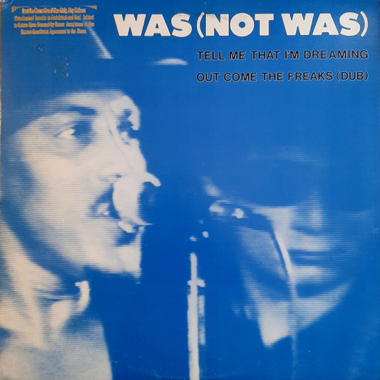 Was (Not Was) : Tell Me That I'm Dreaming / Out Come The Freaks (Dub) (12", Promo, All)