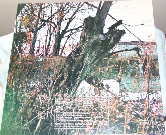 Black Sabbath : Black Sabbath (LP, Album, RP, Los)