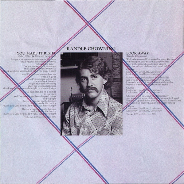 The Ozark Mountain Daredevils : It'll Shine When It Shines (LP, Album, Ter)