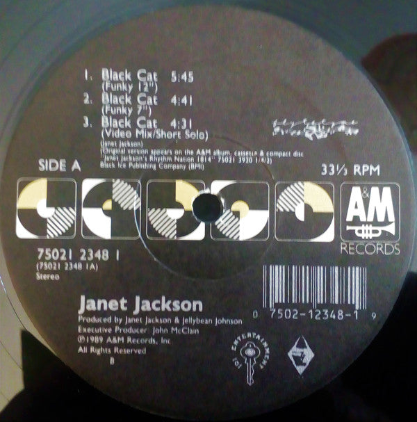 Janet Jackson : Black Cat (12", Single)