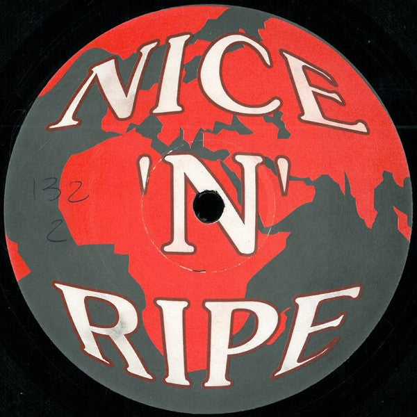 Total Control Featuring Caroldene Black : You Took My Lovin (The Nice 'N' Ripe Remixes) (12")