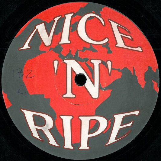 Total Control Featuring Caroldene Black - You Took My Lovin (The Nice 'N' Ripe Remixes) vinyl record, 12" (Very Good Plus (VG+)) | Lulo Records