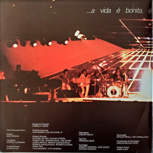 Maria Bethânia : Nossos Momentos (LP, Album, Gat)