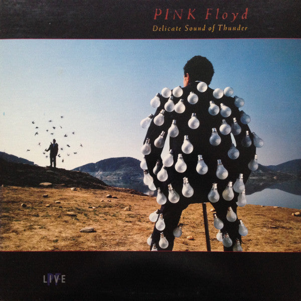 Pink Floyd : Delicate Sound Of Thunder (2xLP, Album, Gat)