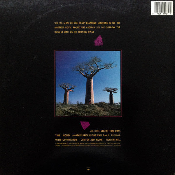 Pink Floyd : Delicate Sound Of Thunder (2xLP, Album, Gat)
