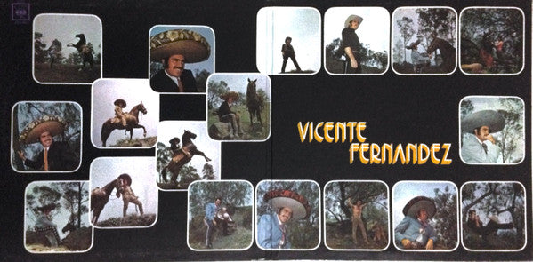 Vicente Fernandez : El Idolo De México (LP, Album, RE, RP, Gat)
