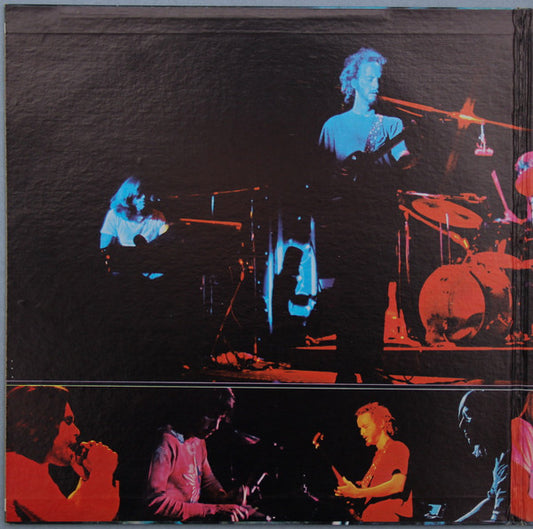 The Doors - Absolutely Live vinyl record, 2xLP (Near Mint (NM or M-)) | Lulo Records