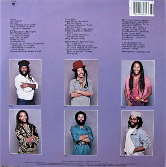 Third World - You've Got The Power vinyl record, LP (Mint (M)) | Lulo Records