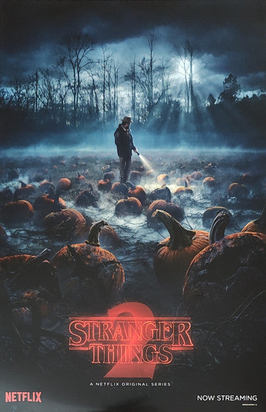 Various : Stranger Things (Music From The Netflix Original Series) (2xLP, Album, Comp, Gat)