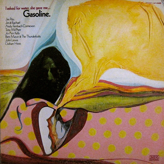 Various : I Asked For Water, She Gave Me... Gasoline (LP, Album)