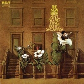 New Birth : Ain't No Big Thing, But It's Growing (LP, Album, RE)