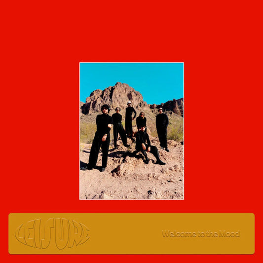 The Leisure Collective* : Welcome to the Mood (LP, Opa)