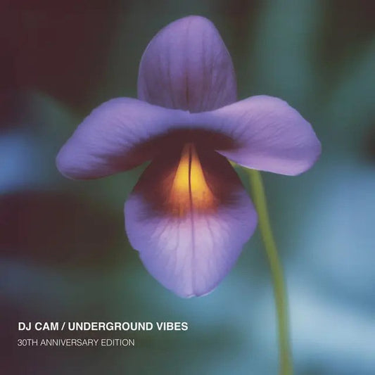 DJ Cam : Underground Vibes (30th Anniversary Edition) (LP, Album, Ltd, Num, RM)