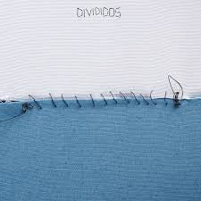 Divididos : Divididos (LP, Album)