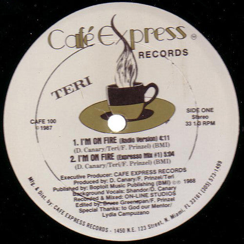 Teri : I'm On Fire (12")