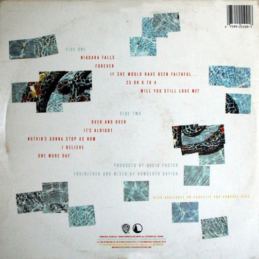 Chicago - Chicago 18 vinyl record, LP (Near Mint (NM or M-)) | Lulo Records
