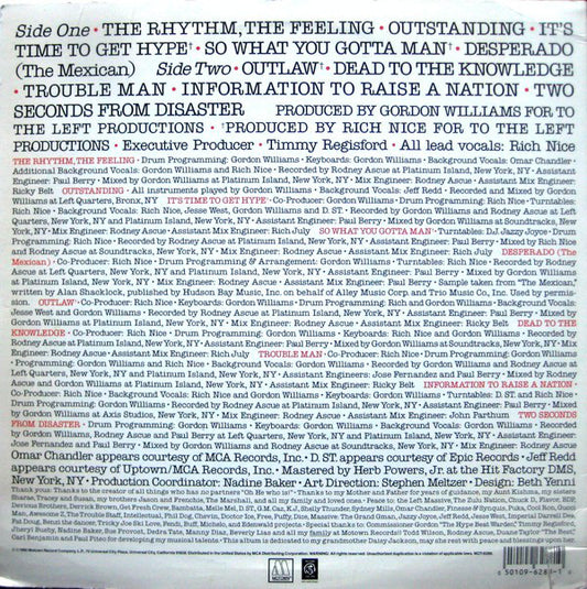 Rich Nice - Information To Raise A Nation vinyl record, LP (Near Mint (NM or M-)) | Lulo Records