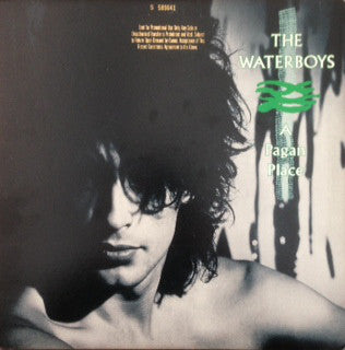 The Waterboys : A Pagan Place (LP, Album, Spe)