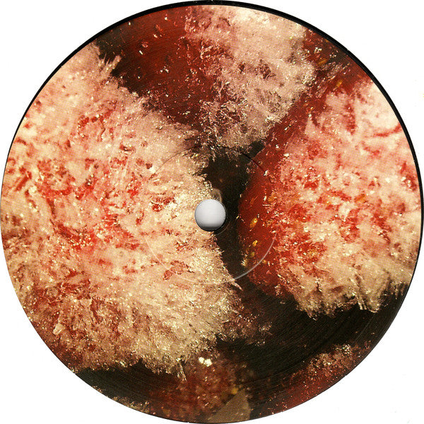 Thee Oh Sees : Floating Coffin (LP, Album)