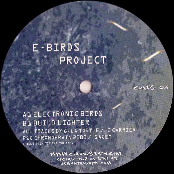 E-Birds Project : Electronic Birds / Build Lighter (12")